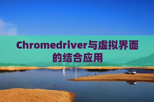 Chromedriver与虚拟界面的结合应用